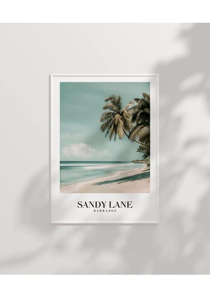 Çerçevesiz Poster Sandy Lane Barbados Tropik Sahil