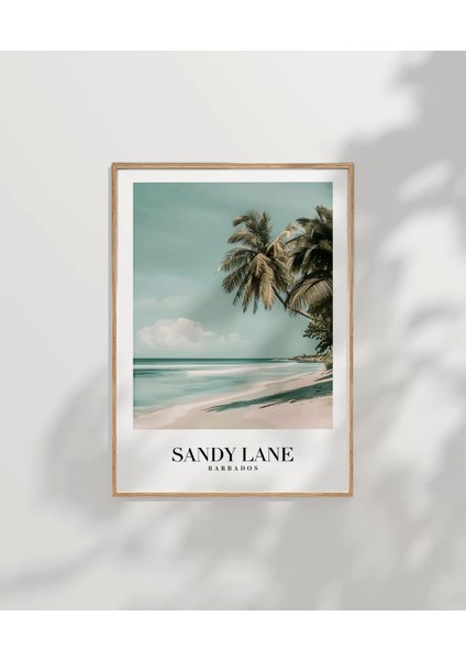 Çerçevesiz Poster Sandy Lane Barbados Tropik Sahil