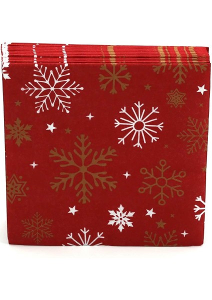 D Yılbası 23 Servıs 20LI Dogan Yıldız