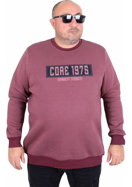 Erkek Büyük Beden Sıfır Yaka 3ip Sweat Core 1975 24209 Eflatun