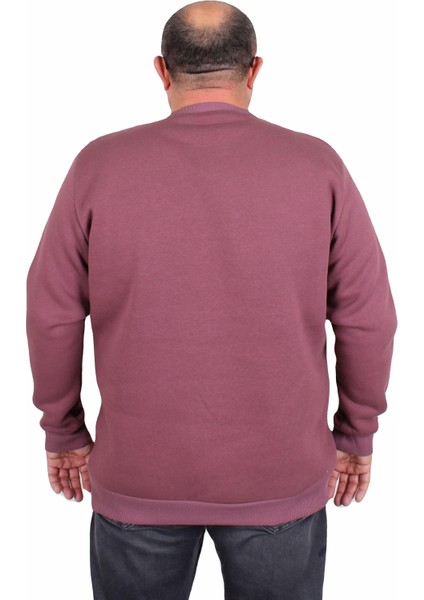 Erkek Büyük Beden Sıfır Yaka 3ip Sweat Core 1975 24209 Eflatun