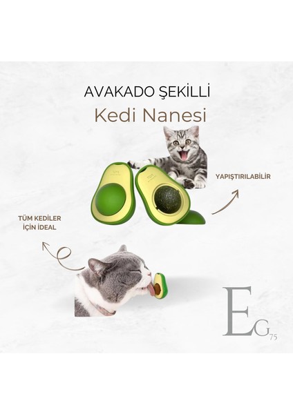 Avakado Kedi Naneli Catnip Yalama Oyun Topu