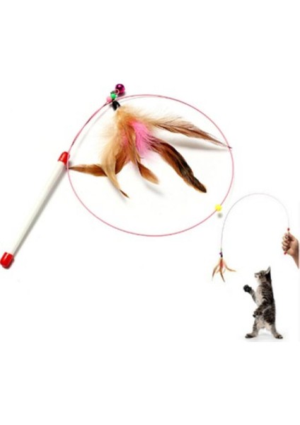 Kedi Oltası Kedi Oyuncak
