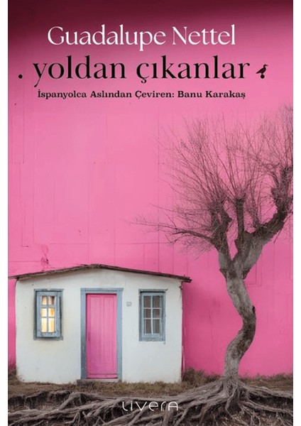 Yoldan Çıkanlar - Guadalupe Nettel