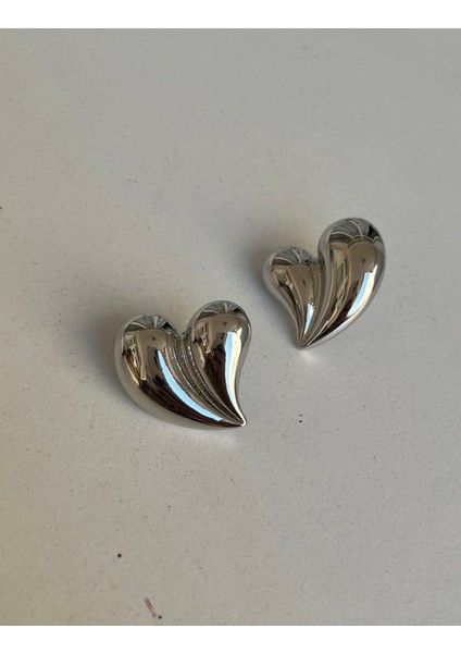 Çelik Kalp Silver Küpe