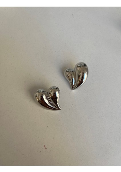Çelik Kalp Silver Küpe