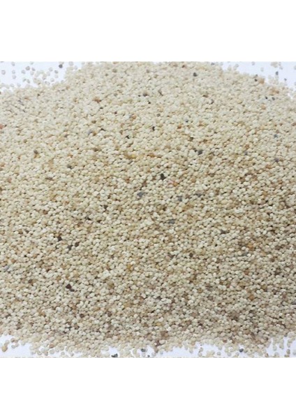Haşhaş Tohumu Beyaz Haş Haş 1 kg