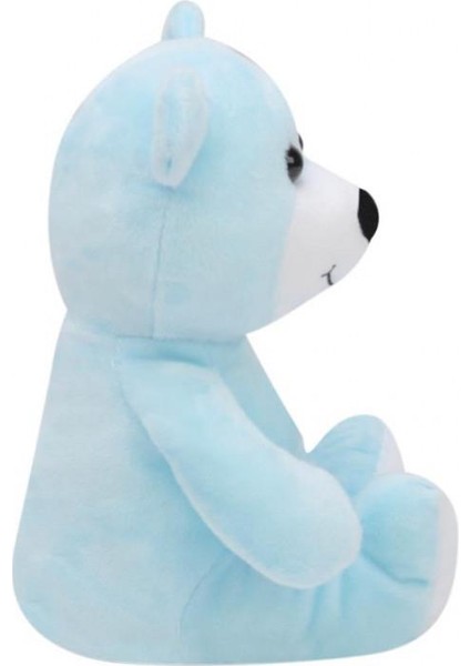 Ayı 20 cm Mavi Pelüş Ayı Çocuk Oyuncak modelleri