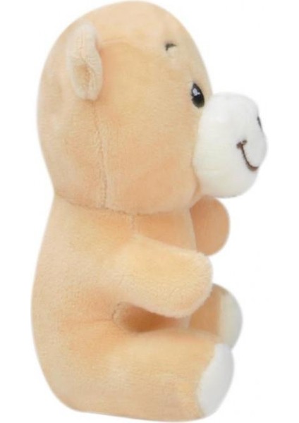 Ayı 20 cm Pelüş Ayı Çocuk Oyuncak fiyatları