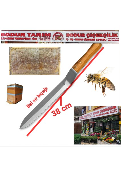 Paslanmaz Çelik Lazer Kesim Ağızlı Bal Çerçevesi Sır Kesme Bıcağı