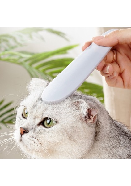 Yuekeda-3pcs Kedi Tonga Teksturu Yağmur Tırçası (Yurt Dışından) fırsatları