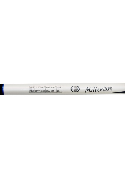 1658 Archer 420CM 3 Parça Surf Kamış 100-250GR Atar modelleri