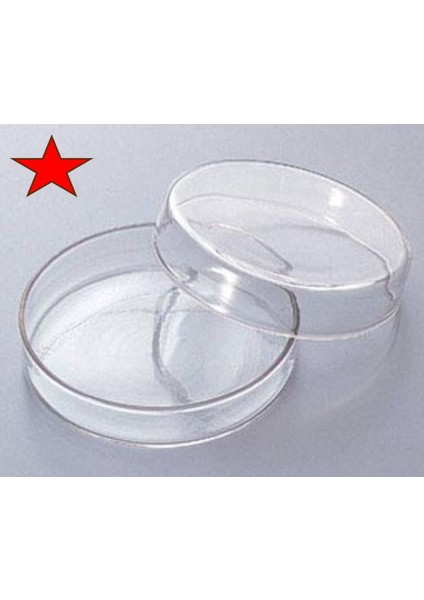 Cam Petri Kabı 60 x 15 mm Cam Petri Kabı 60MM- 1 Adet