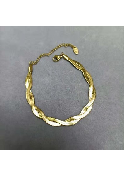 A1-3-0111 316L Paslanmaz Çelik Yeni Moda Lüks Takı Interweave Dokuma Takılar Yılan Zincir Gerdanlık Kolye ve Kolye Kadınlar Için (Yurt Dışından)