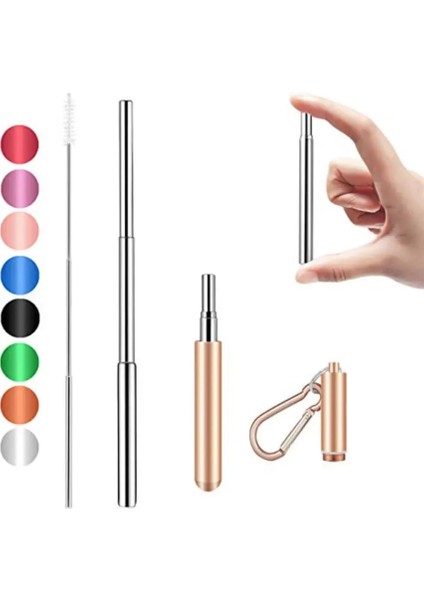 Altın Tarzı Icafilas Paslanmaz Çelik Metal Yaylı Klipsler Paslanmaz Çelik Taşınabilir Pipetler Geri Çekilebilir Pipetler (Yurt Dışından)