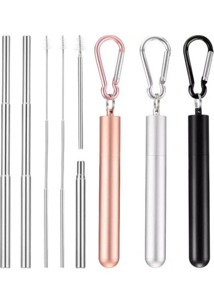 Altın Tarzı Icafilas Paslanmaz Çelik Metal Yaylı Klipsler Paslanmaz Çelik Taşınabilir Pipetler Geri Çekilebilir Pipetler (Yurt Dışından) modelleri