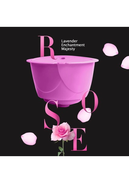 10 Mor Kapsül Stili Ackage Dolce Gusto Kahve Makinesi Için Renkli Yeniden Kullanılabilir Kahve Kapsülü Gül Tarzı Doldurulabilir Kapsül Filtresi (Yurt Dışından)