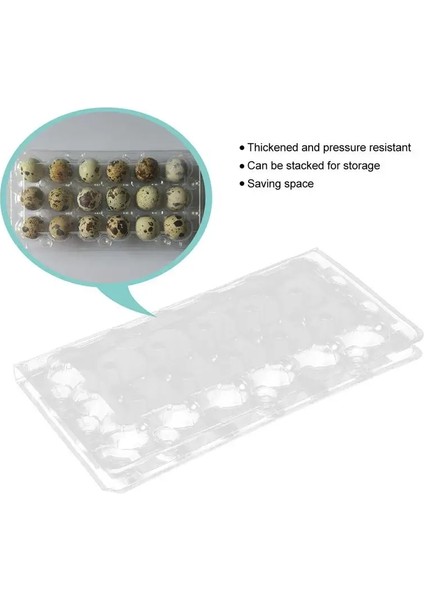 6 Izgara Stili Izgaralar Bıldırcın Yumurtası Karton Saklama Kabı Organizatör Tek Kullanımlık Pvc Saklama Kutusu Şeffaf Yumurta Dağıtıcı Tutucu (Yurt Dışından)