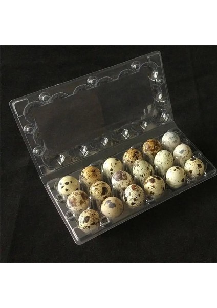6 Izgara Stili Izgaralar Bıldırcın Yumurtası Karton Saklama Kabı Organizatör Tek Kullanımlık Pvc Saklama Kutusu Şeffaf Yumurta Dağıtıcı Tutucu (Yurt Dışından)