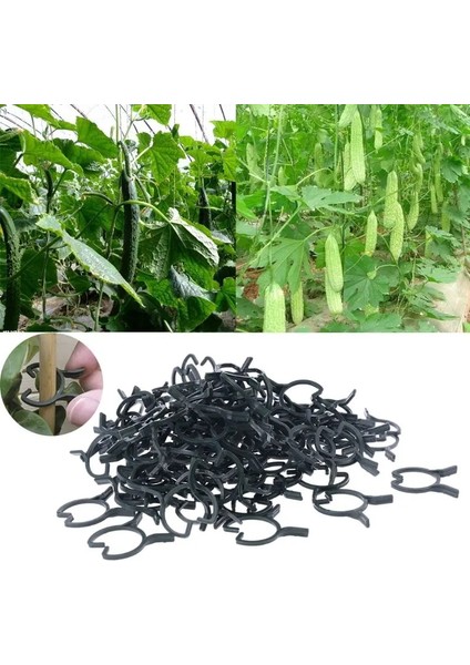 Lant Bahçe Klipsleri Sebze Bitki Asma Bitki Saplarını Tutmak Için Destek Klipsleri (Yurt Dışından)