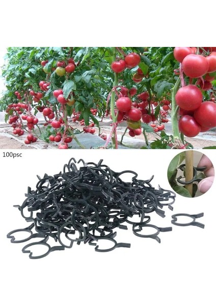 Lant Bahçe Klipsleri Sebze Bitki Asma Bitki Saplarını Tutmak Için Destek Klipsleri (Yurt Dışından) modelleri