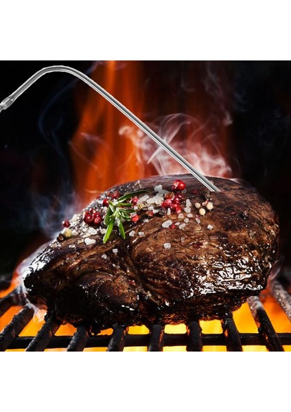 Küçük Su Geçirmez Termometre Dijital Pişirme Gıda Et Termometresi Için Hibrid Prob Değiştirme Ailesi Taşınabilir Barbekü Aracı (Yurt Dışından)