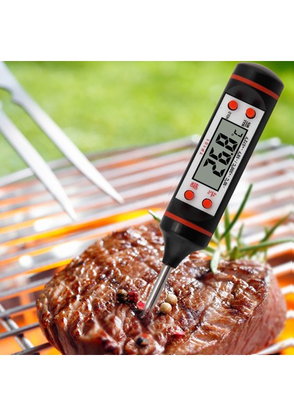 Mutfak Pişirme Gıda Et Anında Okuma Termometresi Probu Dijital Barbekü Sigara Içen Pişirme Yağı Süt Kalem Tarzı Termometre (Yurt Dışından)
