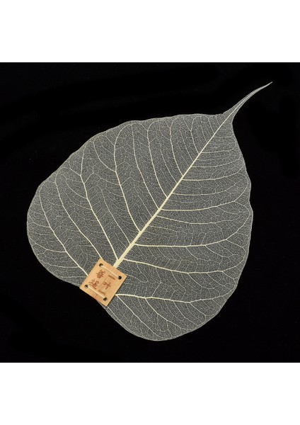 Gösterildiği Gibi 1 Adet Çay Süzgeci Yaprak Çay Filtresi Yaprak Şekilli Bodhi Sızdırmaz Kung Fu Çay Demlikleri Erişim Hollow Out The Leaves Kişilik Filtre (Yurt Dışından)