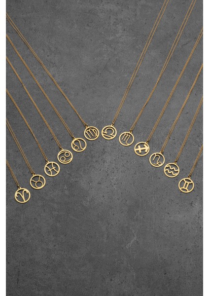 Kadın 925 Ayar Gümüş Altın Kaplama Özel Tasarım Akrep Burcu Kolye fırsatları