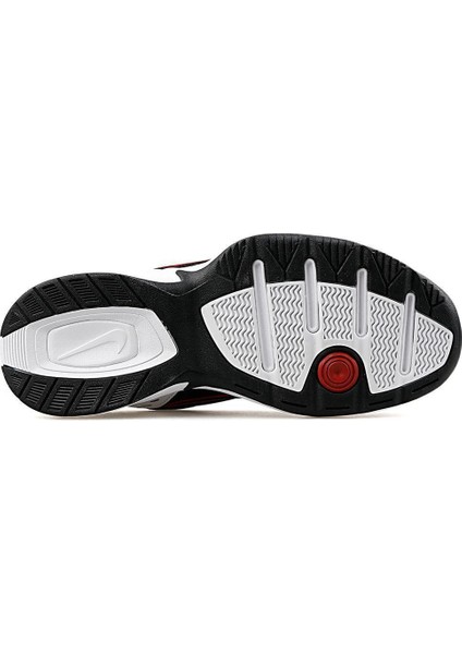 Unisex Antrenman Ayakkabısı 415445-101 Air Monarch Iv indirimleri