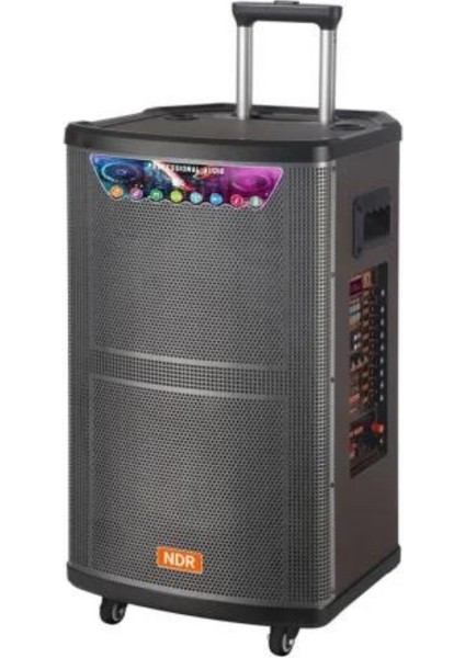 PL-4607 Rgb Işıklı Usb/tf/fm/bt/tws Kablosuz Mikrofonlu Öğretmen/toplantı Anfisi (NDR-512)
