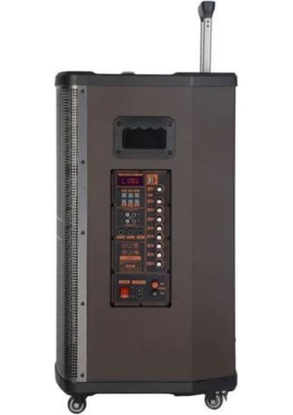 PL-4607 Rgb Işıklı Usb/tf/fm/bt/tws Kablosuz Mikrofonlu Öğretmen/toplantı Anfisi (NDR-512)