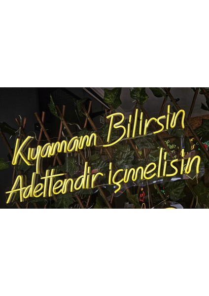 Cizgineon Kıyamam Bilirsin Adettendir Içmelisin Işıklı Neon LED Duvar Dekarasyon Günışığı 35*80 cm
