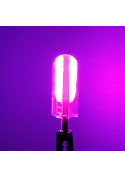 Pembe 2Adet T10 W5W Silika Jel Cob Led Araba Gümrükleme Işıkları Oto Kama Ters Ampul Dönüş Sinyali Işığı Kırmızı Mavi Sarı Beyaz 12V (Yurt Dışından)
