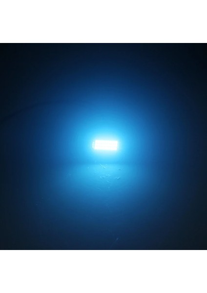 39Mm Tarzı Buz Mavisi Rxz Festoon C10W Led C5W Led Canbus Mm Hatasız Iç Okuma Işığı Açıklık Ampuller Oto Plaka Lambası Beyaz (Yurt Dışından)