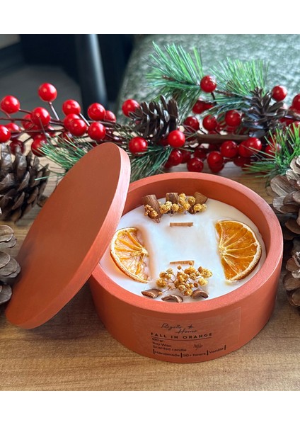 Fall In Orange, Tarçın ve Portakallı Mum, Soy Wa x , Beton Saksılı Dekoratif Mum, Vanilyalı Mum