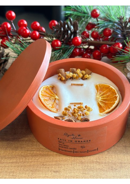 Fall In Orange, Tarçın ve Portakallı Mum, Soy Wa x , Beton Saksılı Dekoratif Mum, Vanilyalı Mum fiyatları