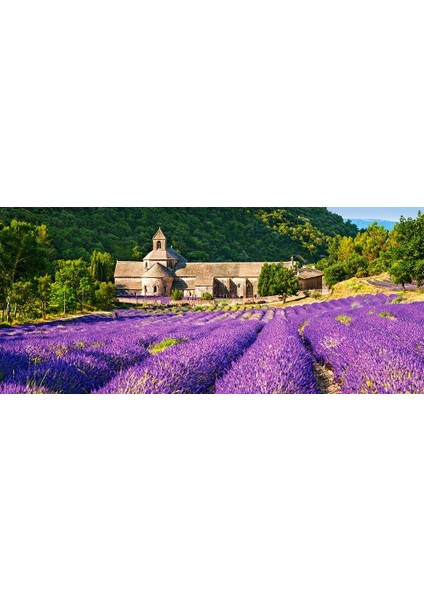 600 Parça Notre Dame De Senanque France Puzzle