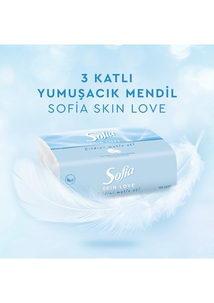 Skin Love Mendil 100'lü