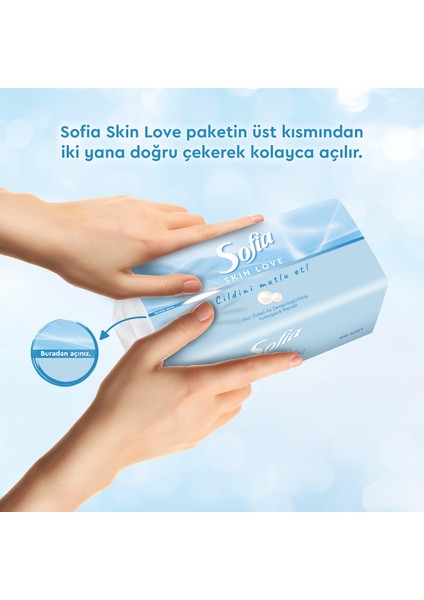 Skin Love Mendil 100'lü