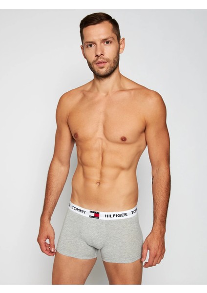 Tommy Hılfıger Tekli Erkek Boxer UM0UM01810-P01
