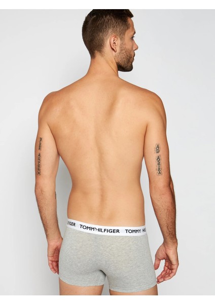 Tommy Hılfıger Tekli Erkek Boxer UM0UM01810-P01