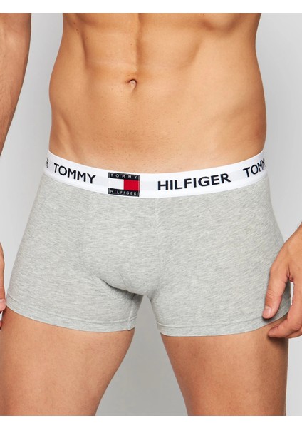 Tommy Hılfıger Tekli Erkek Boxer UM0UM01810-P01