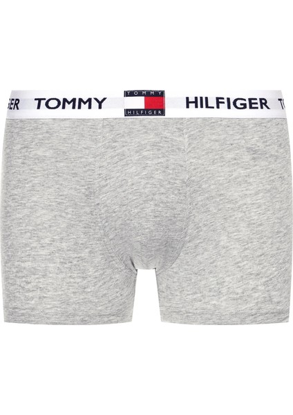 Tommy Hılfıger Tekli Erkek Boxer UM0UM01810-P01