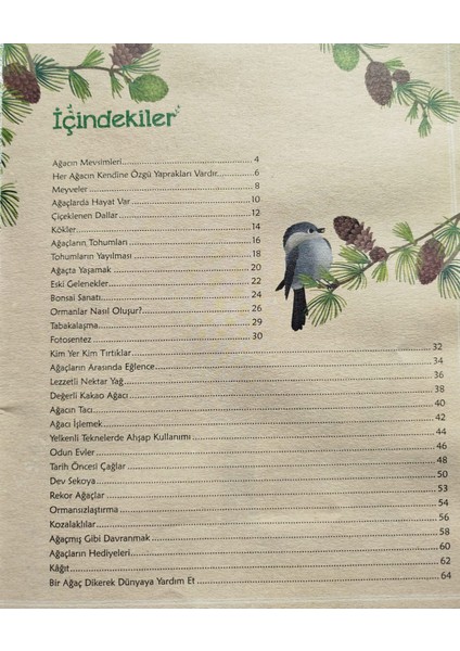 Ağaçlar Hakkında Her Şey - Eleonora Barsotti indirimleri