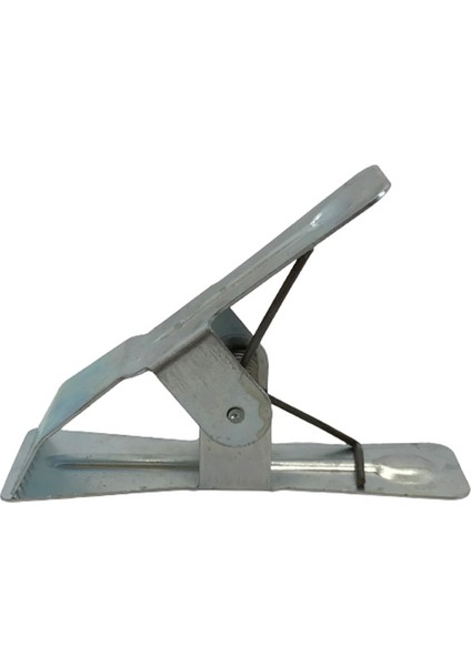 Mini Tırtıllı Pastal Maşası / Clmp-08 fırsatları