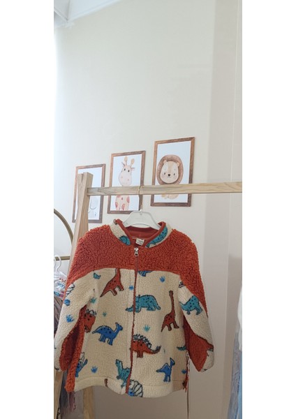 Welsoft Dinazor Motifli Bebek Çocuk Hırka Mont