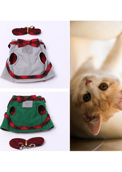 Kedi Eğitim Tasması Gri