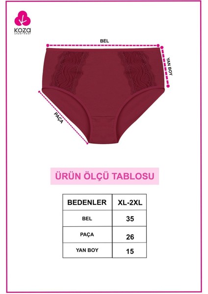 Kadın 3'lü Pamuklu Yan Dantelli Yüksek Bel Curve Külot fırsatları