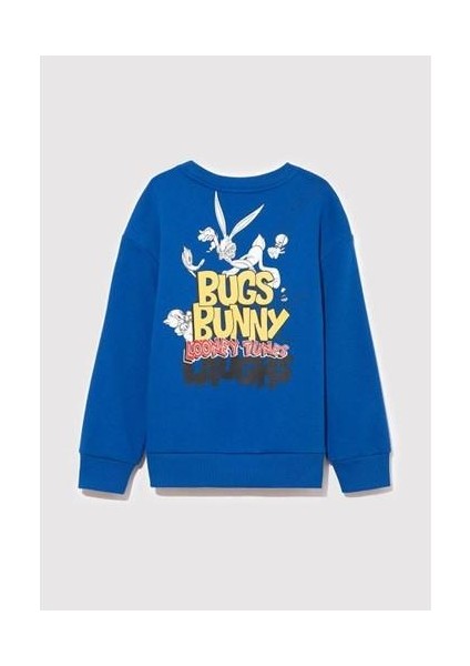 Erkek Çocuk Sweat